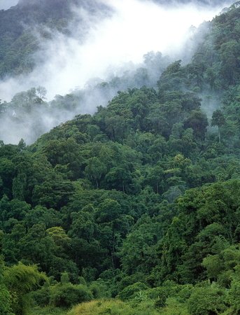 The Cardamom Mountains in Koh Kong, Cambodia.