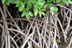 17-DSC08153-1-scaled