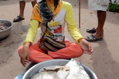 20-DSC08204-1-scaled