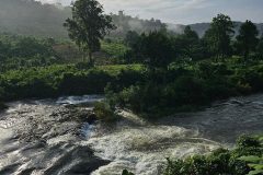 sun-bear-valley-koh-kong-16