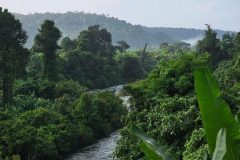 sun-bear-valley-koh-kong-18