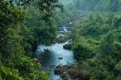 sun-bear-valley-koh-kong-7