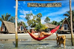 Young Wild & Free