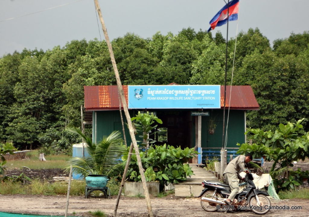 Mangrove Forest and Peam Krasop Wildlife Sanctuary in Koh Kong, Cambodia