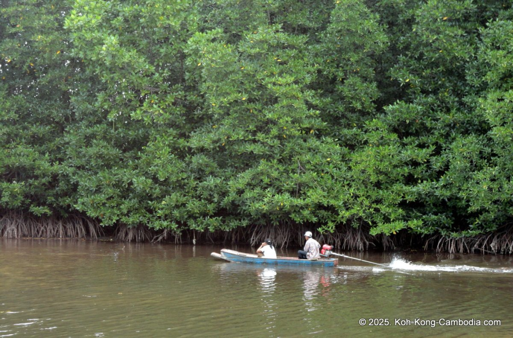 Mangrove Forest and Peam Krasop Wildlife Sanctuary in Koh Kong, Cambodia