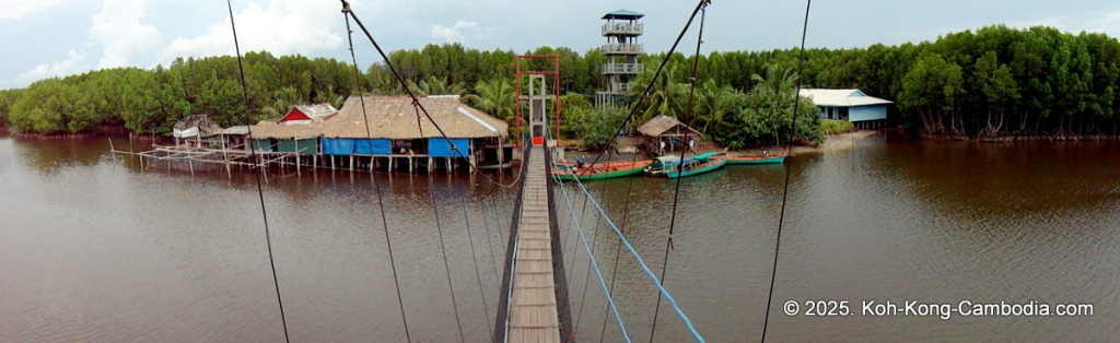 Mangrove Forest and Peam Krasop Wildlife Sanctuary in Koh Kong, Cambodia