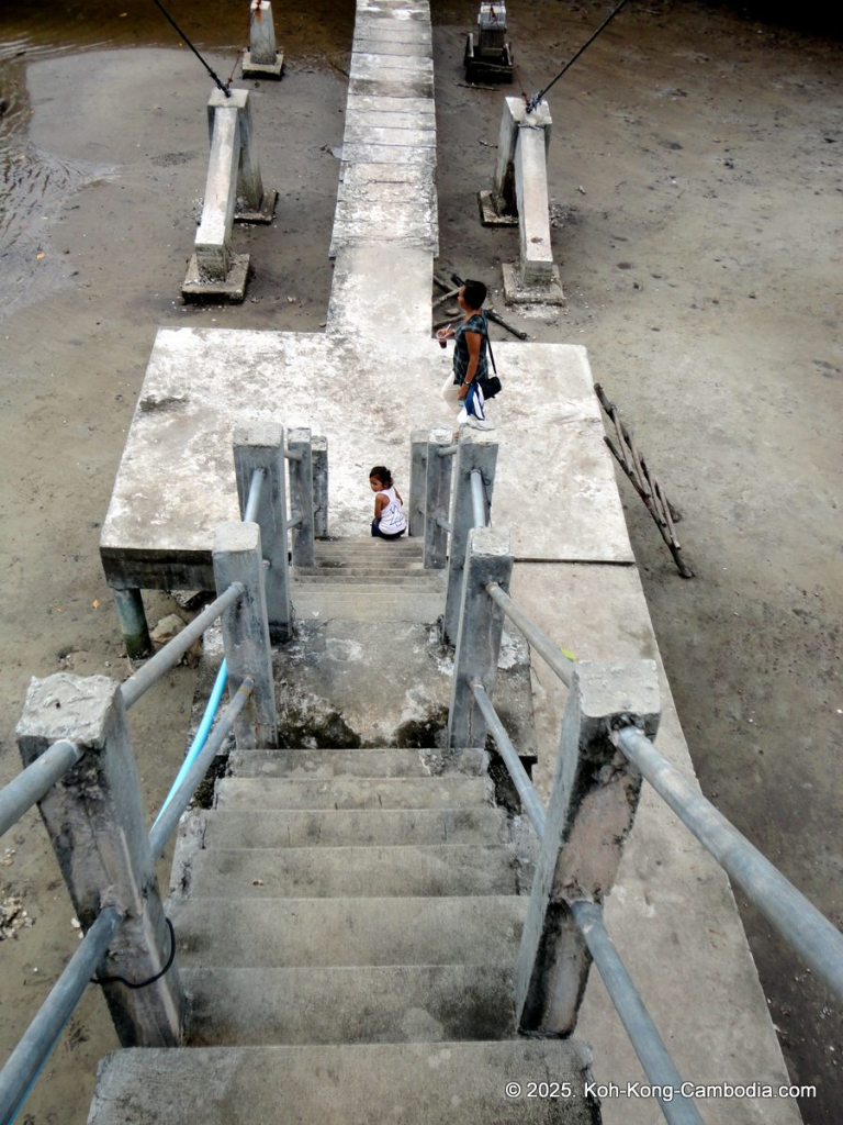 Mangrove Forest and Peam Krasop Wildlife Sanctuary in Koh Kong, Cambodia