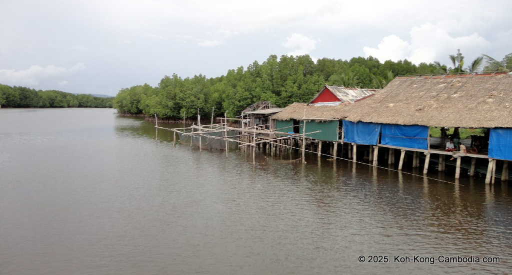 Mangrove Forest and Peam Krasop Wildlife Sanctuary in Koh Kong, Cambodia