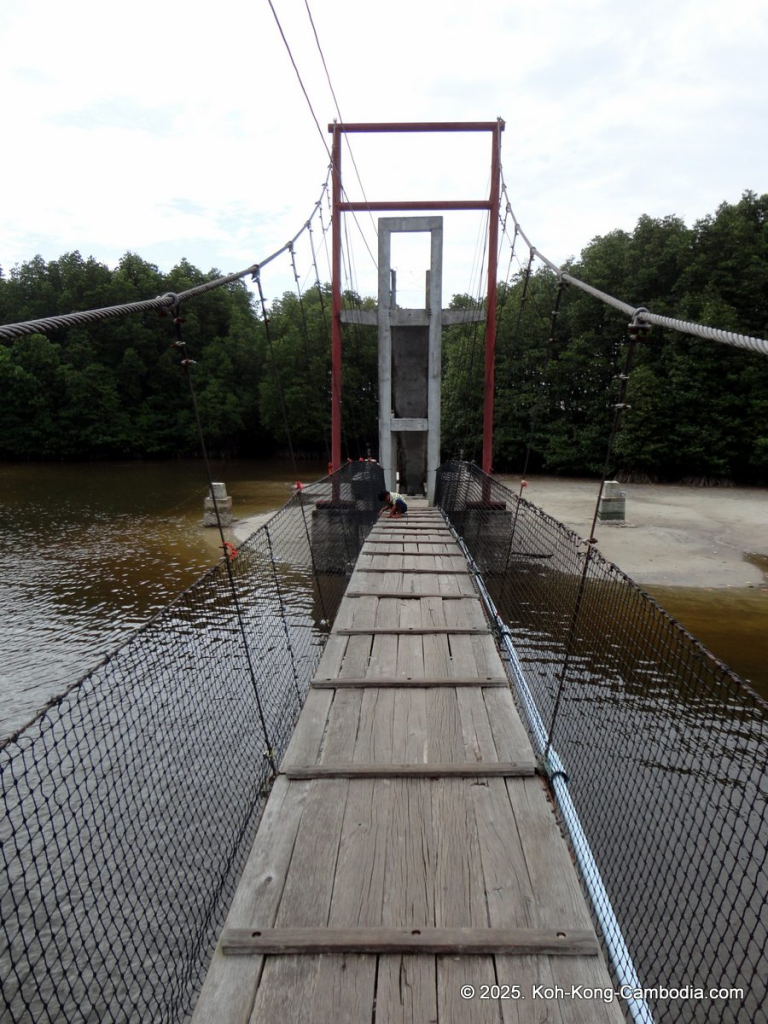 Mangrove Forest and Peam Krasop Wildlife Sanctuary in Koh Kong, Cambodia