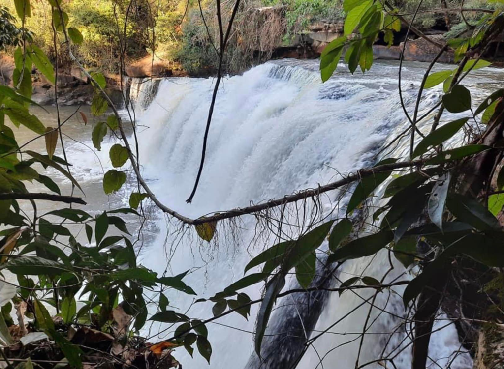 cardamom mountain guesthouse koh kong cambodia