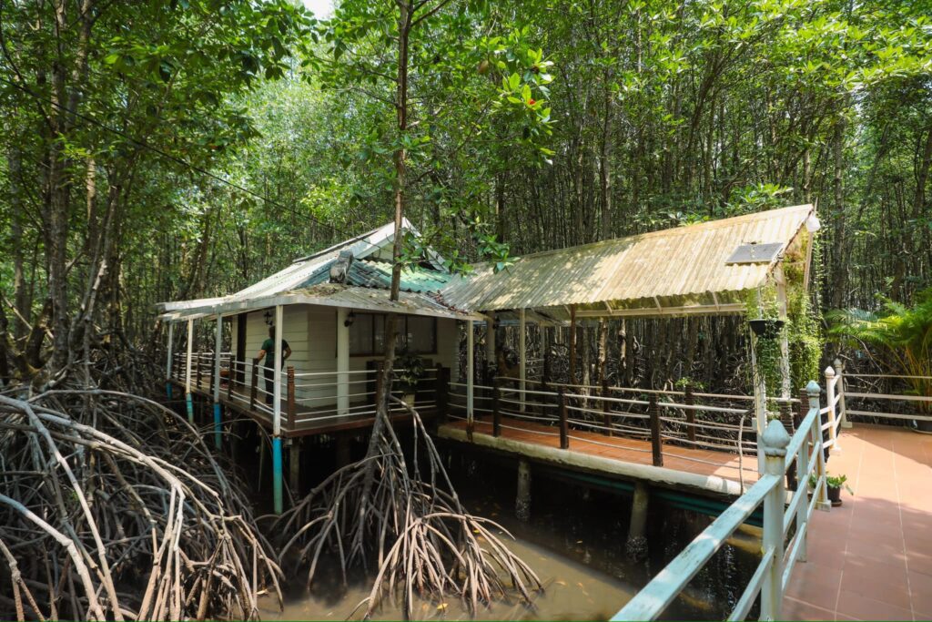 Mangrove sanctuary resort koh kong