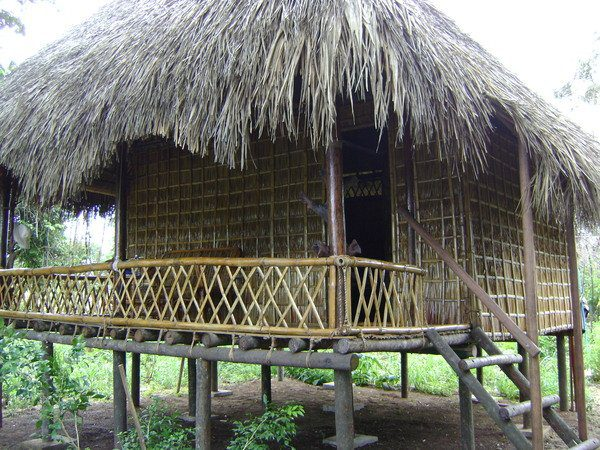 Cardamom Mountains in Koh Kong cambodia