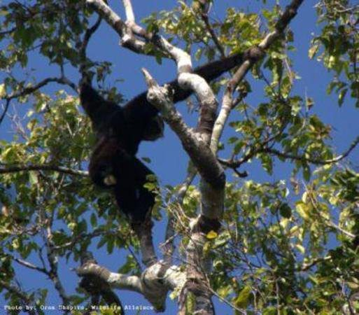 Cardamom Mountains in Koh Kong cambodia