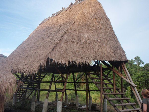 Cardamom Mountains in Koh Kong cambodia