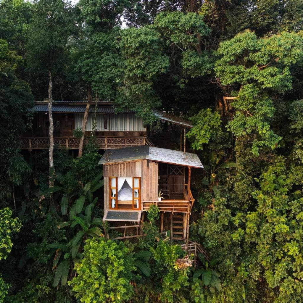 Sun Bear Valley in Koh Kong, Cambodia