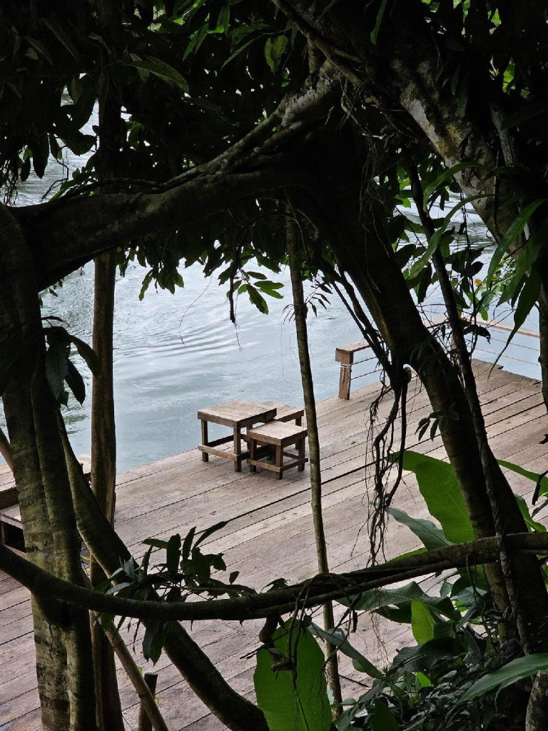 Sun Bear Valley in Koh Kong, Cambodia