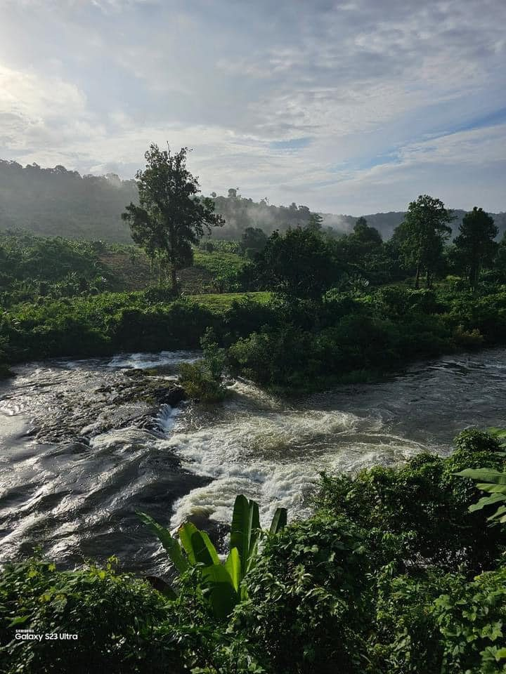 Sun Bear Valley in Koh Kong, Cambodia