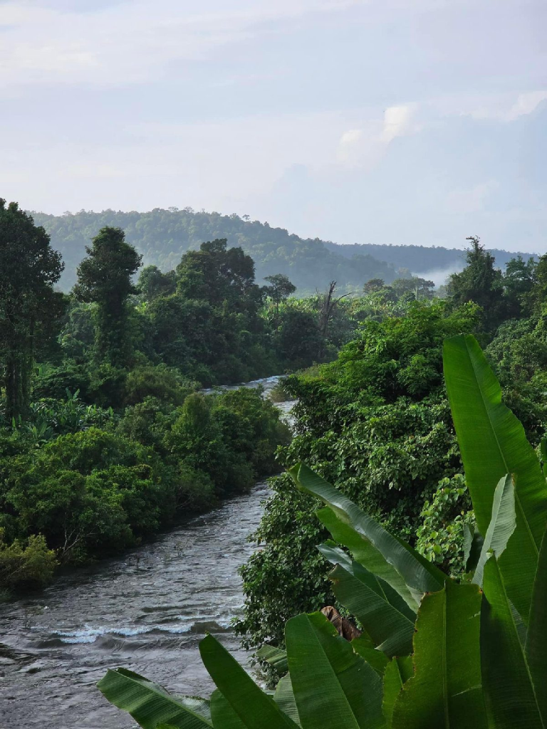 Sun Bear Valley in Koh Kong, Cambodia