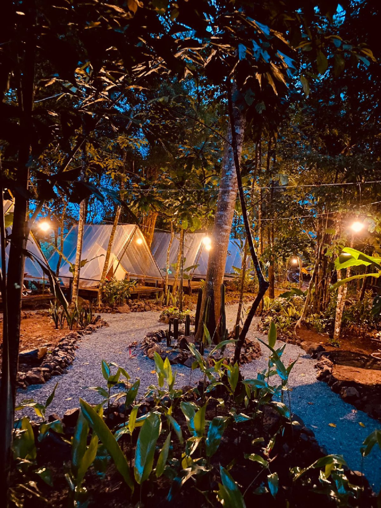 Sun Bear Valley in Koh Kong, Cambodia
