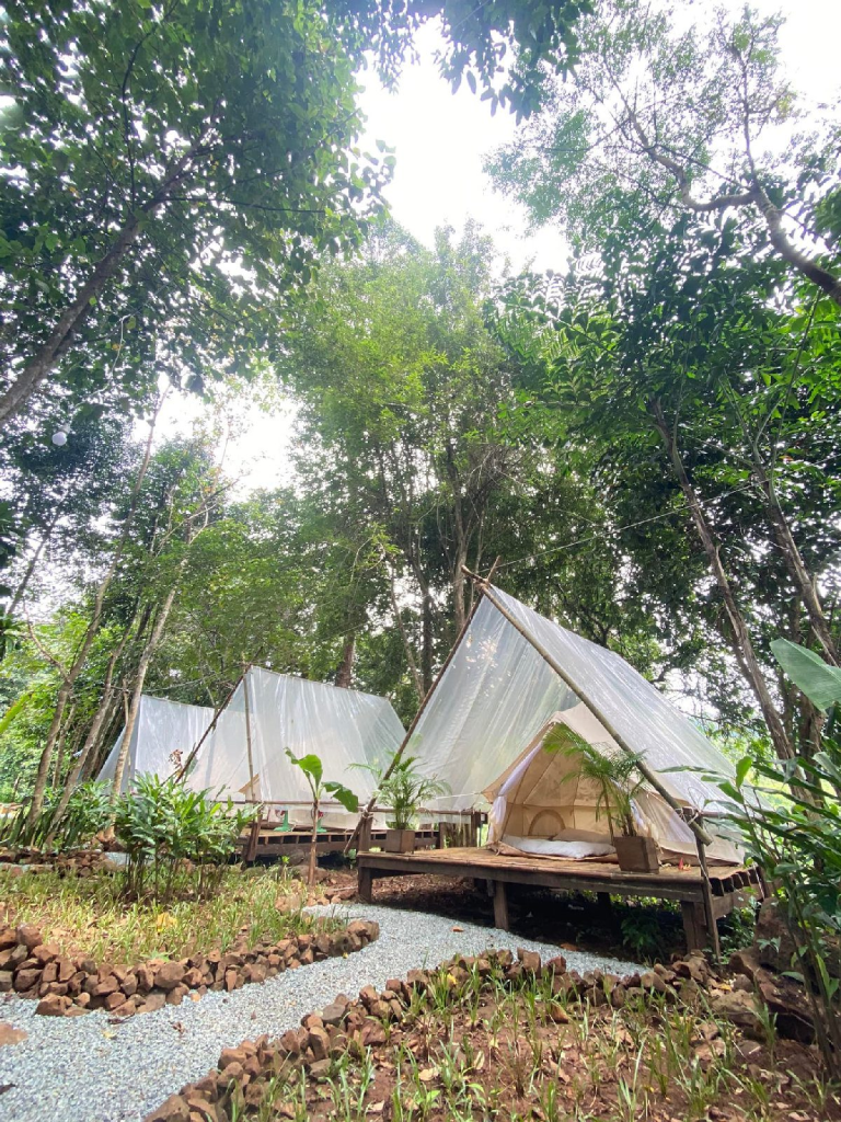 Sun Bear Valley in Koh Kong, Cambodia