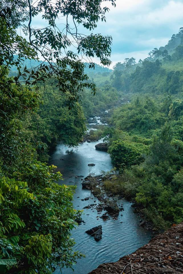 Sun Bear Valley in Koh Kong, Cambodia