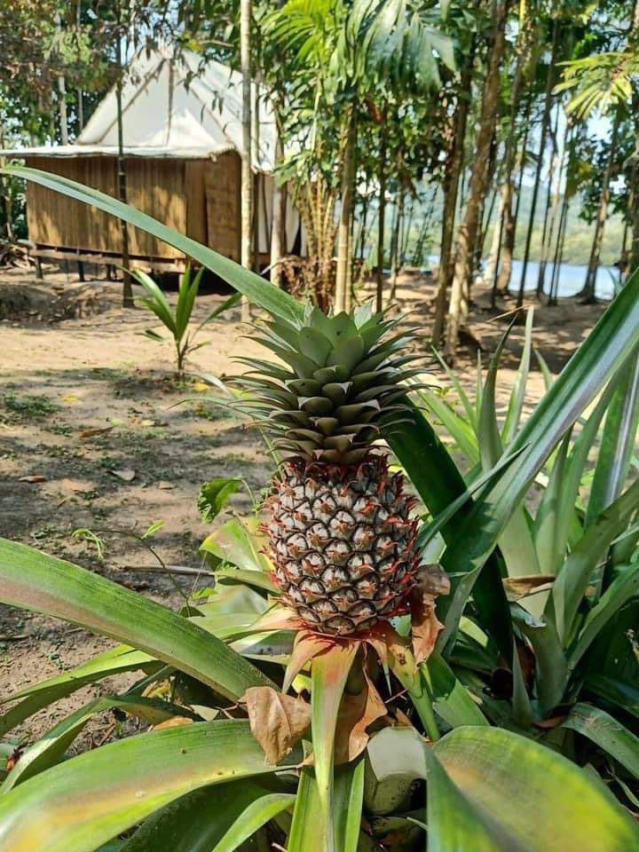 Thansur Eco Resort Koh Kong