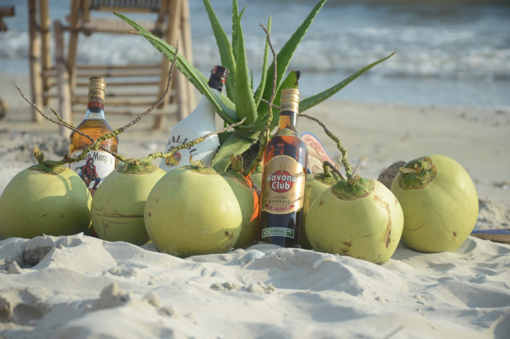 young wild and free in koh kong cambodia