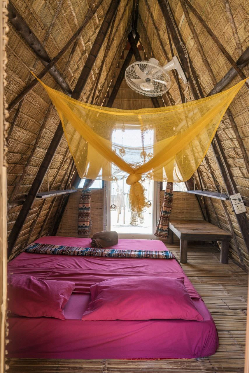 young wild and free in koh kong cambodia