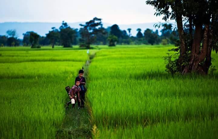 Steung Areng Eco Resort in Koh Kong, Cambodia