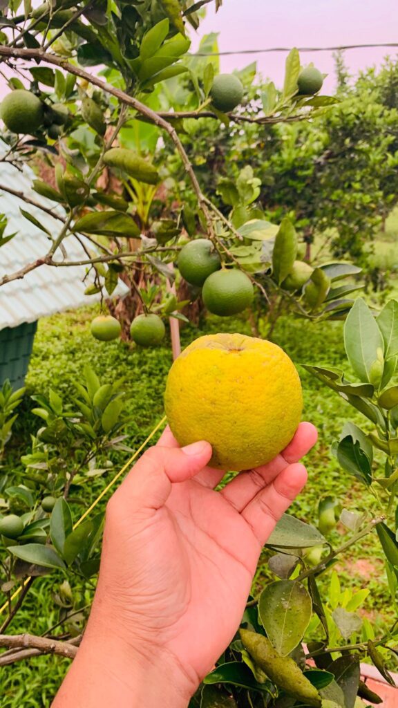 Steung Areng Eco Resort in Koh Kong, Cambodia