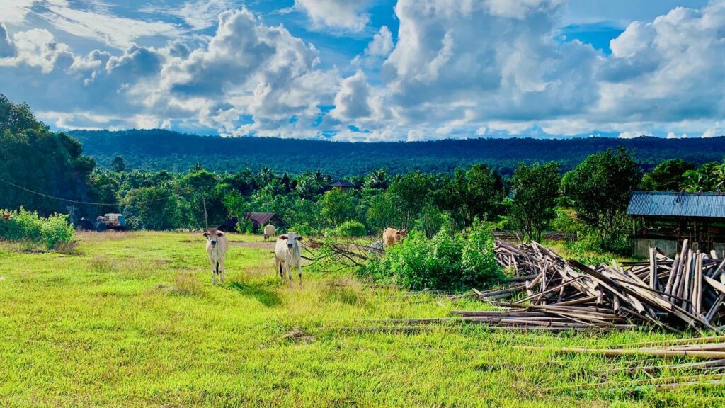 Steung Areng Eco Resort in Koh Kong, Cambodia